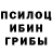 Псилоцибиновые грибы GOLDEN TEACHER lucy sahakyan