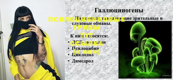 герыч Алзамай